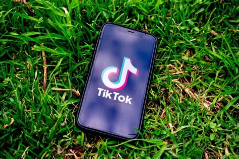 From GNG to YWA: Decoding Meaning of Trendy Terms on TikTok.